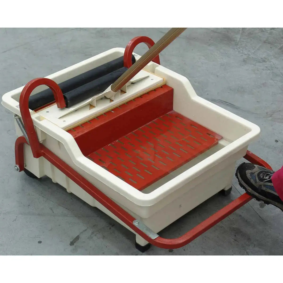 Raimondi Pedalo Cleaning System