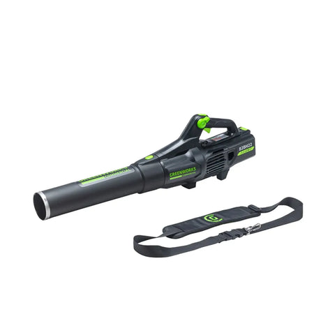 Greenworks Leaf Blower 2426102VT