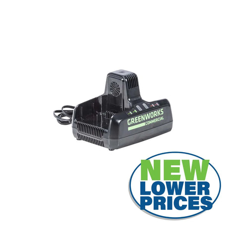 Greenworks Battery Charger