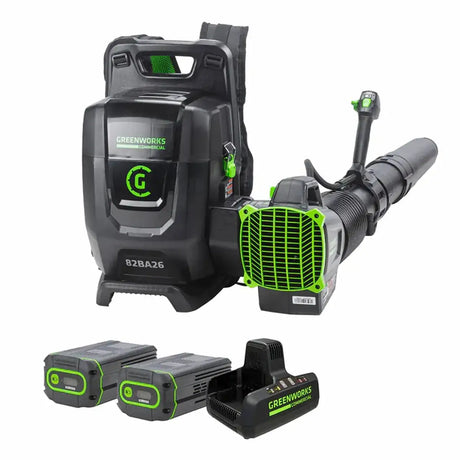 Greenworks Blower 80V