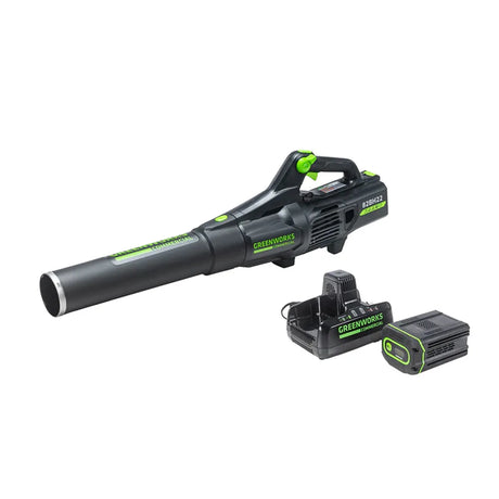 Greenworks Handheld Leaf Blower