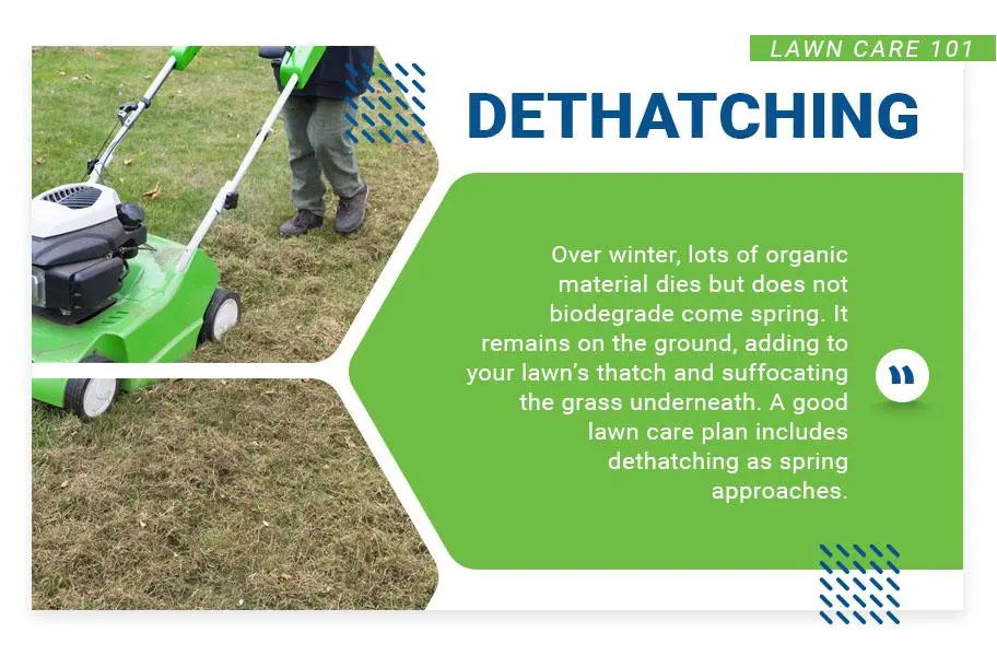 lawn care 101 dethatching