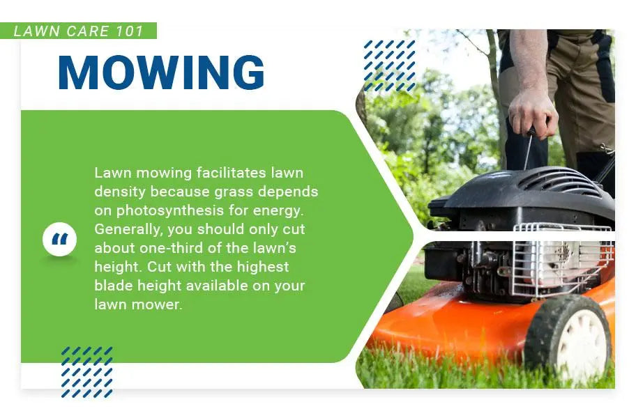 lawn care 101 mowing