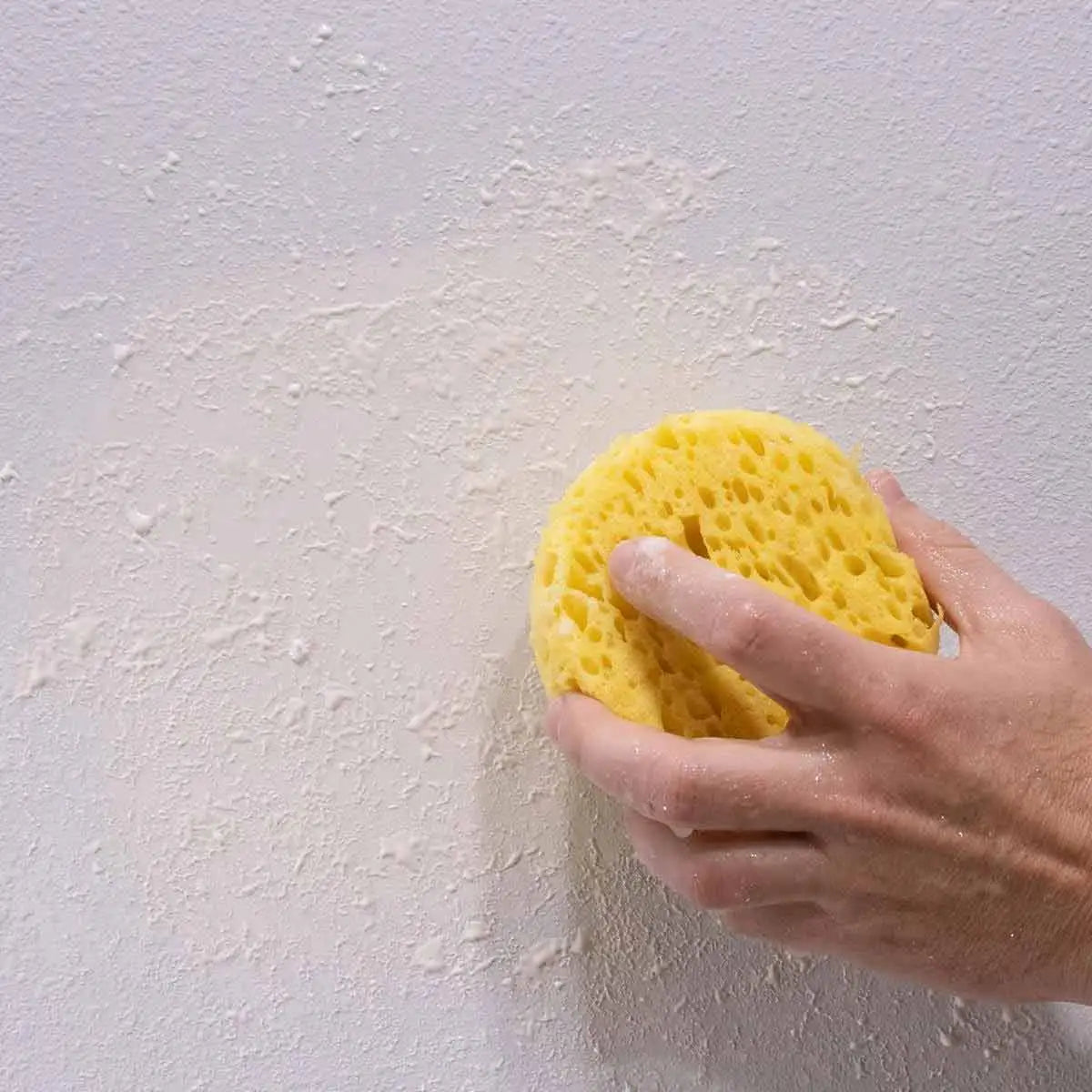 Drywall Repair Patch Kits clean sponge