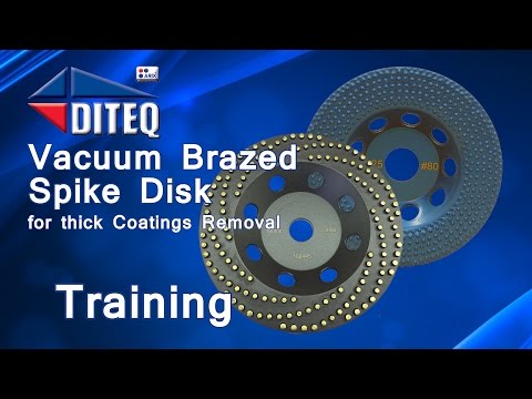 Diteq Vacuum Brazed Spike Discs