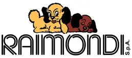 Raimondi Logo